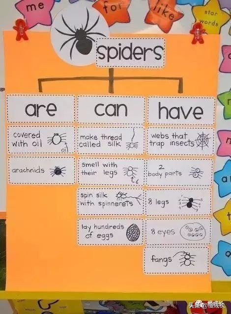 思维导图简单大方,思维导图不容错过