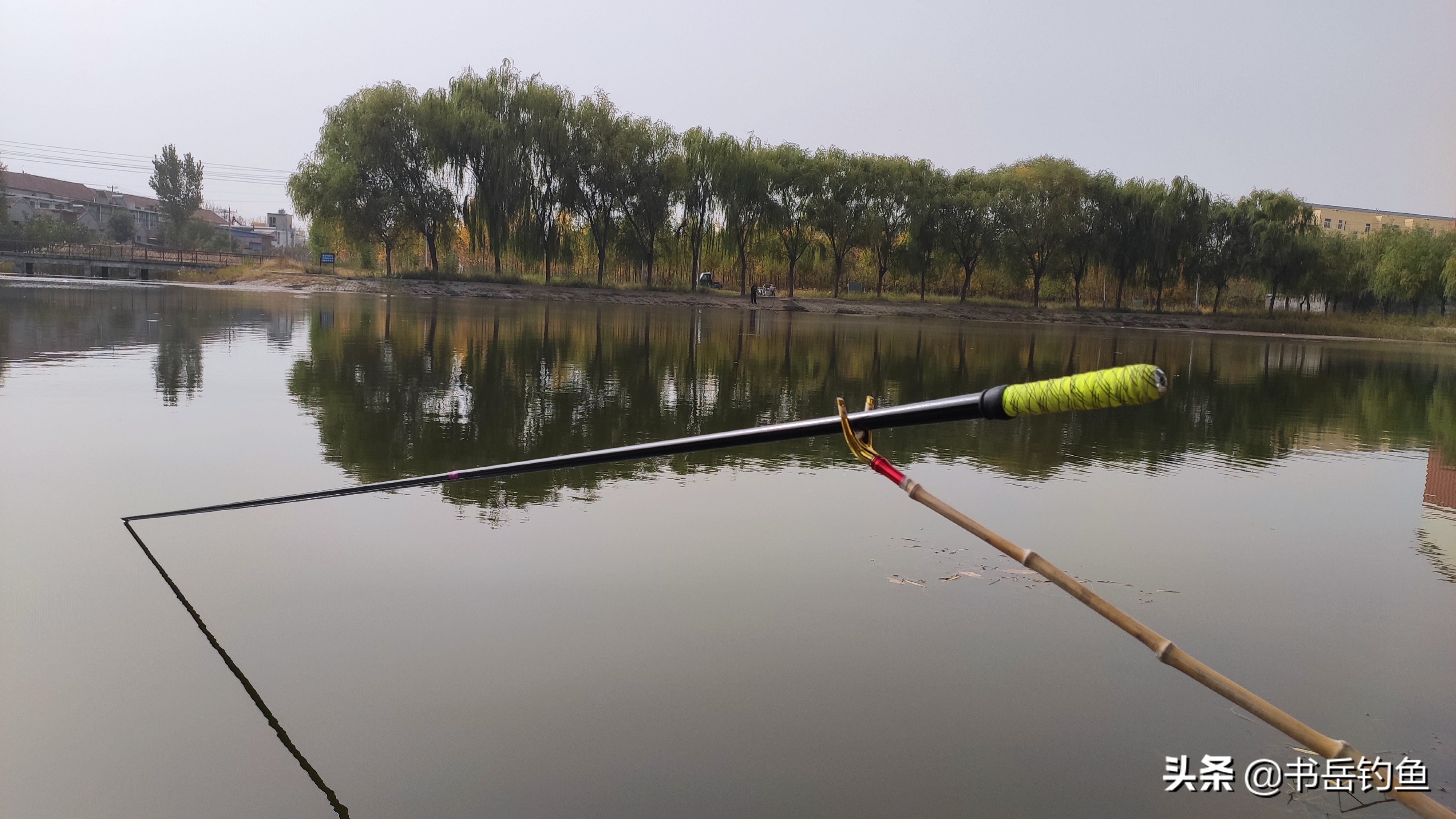 抛竿野钓怎样用饵最省钱,冬季抛竿用什么饵料最好