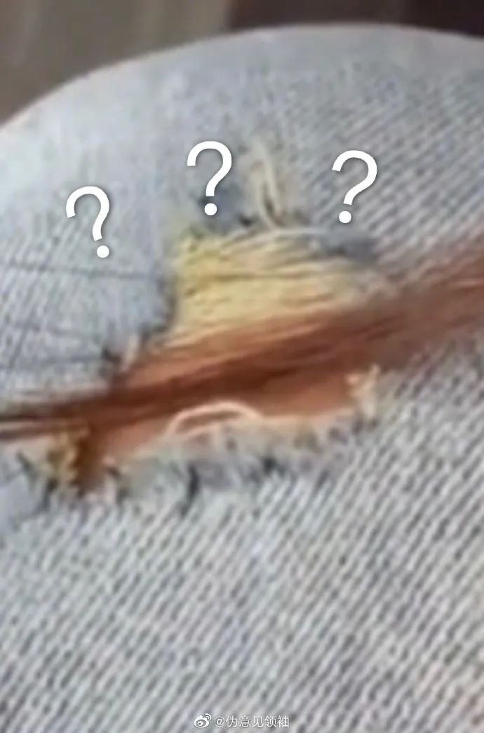 国外笑死人的骚操作,外国网友骚操作