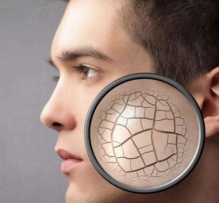 四倍差价“差”在哪？352VS巴慕达谁能拯救干燥冬季？