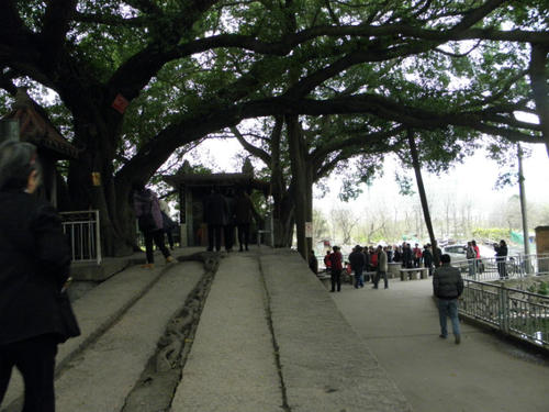 鑻忓繝璇楁瓕,鑻忓繝璇楁瓕浣滃搧