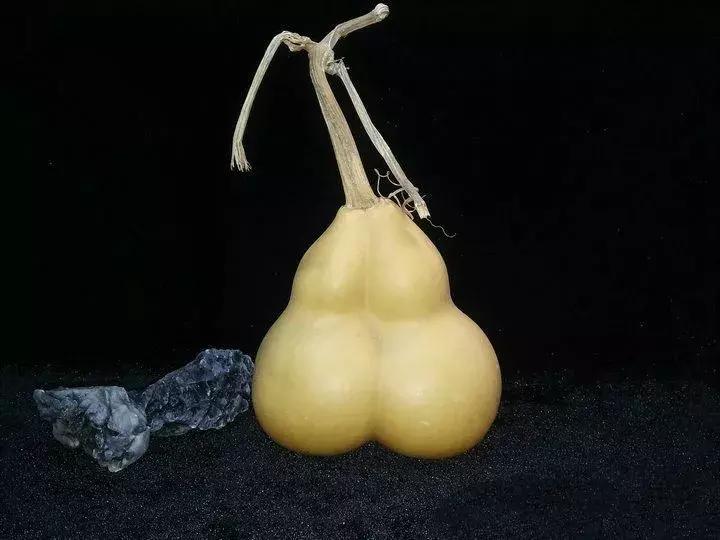 岂无雕刻者贵此成天性什么意思,异形葫芦雕刻