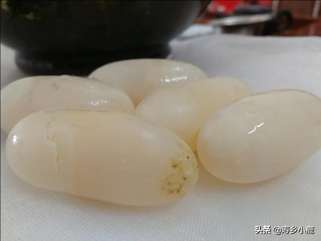 孵化石金钱龟蛋,乌龟蛋怎么孵化石金钱龟