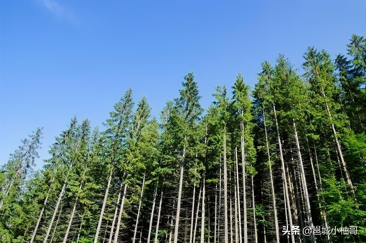 广西纺织招商引资最新消息,为啥广西越来越多工厂了