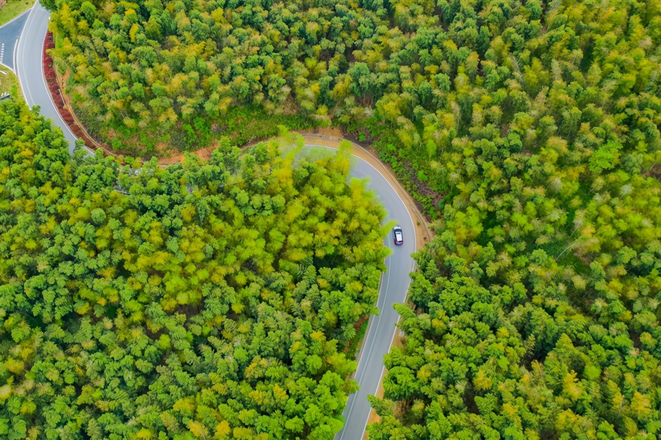 广德自驾游最佳的地方有哪些,自驾从广德到上海的最佳方案