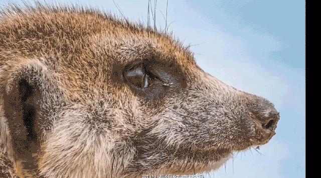 华为手机p50现在值得购买吗,华为p50值得买吗仅拍照