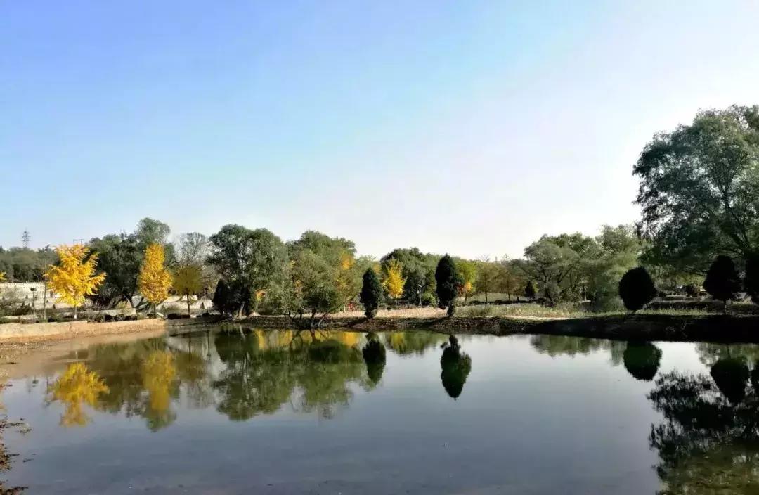 北京小众湿地公园免费,北京周边湿地公园