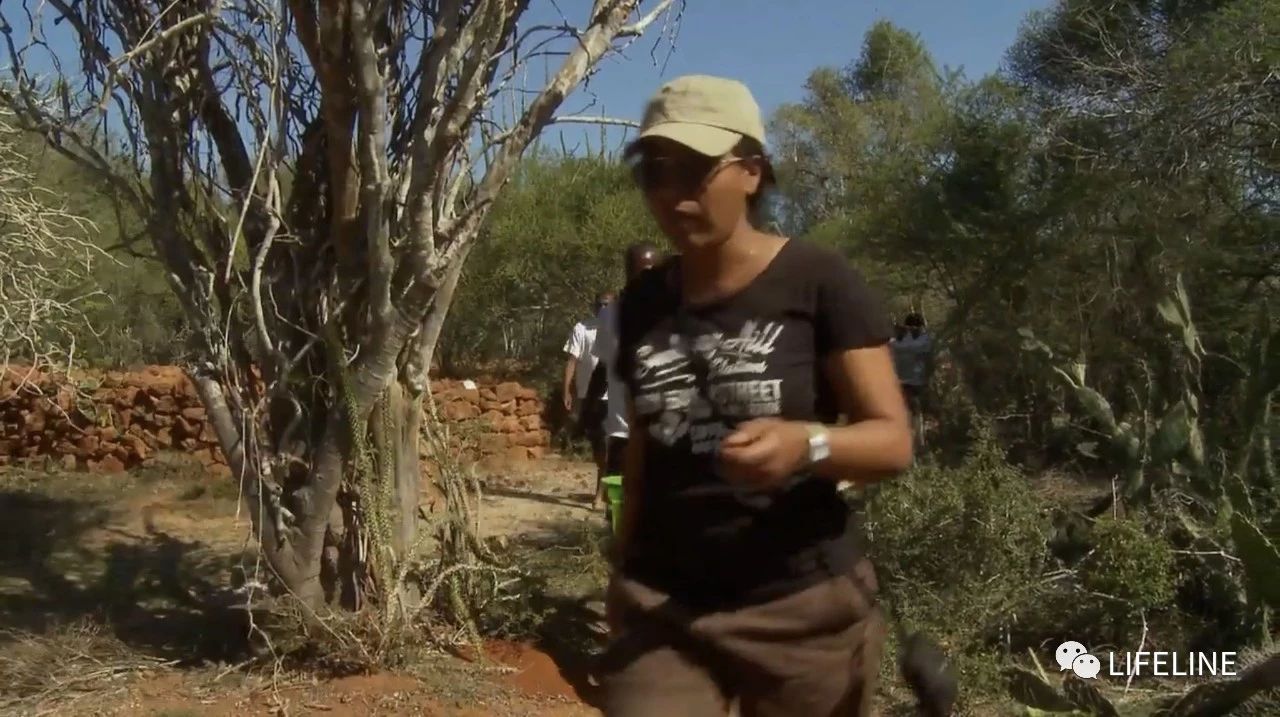 龟中“考拉”，请别让我们的孩子在博物馆见到它们...