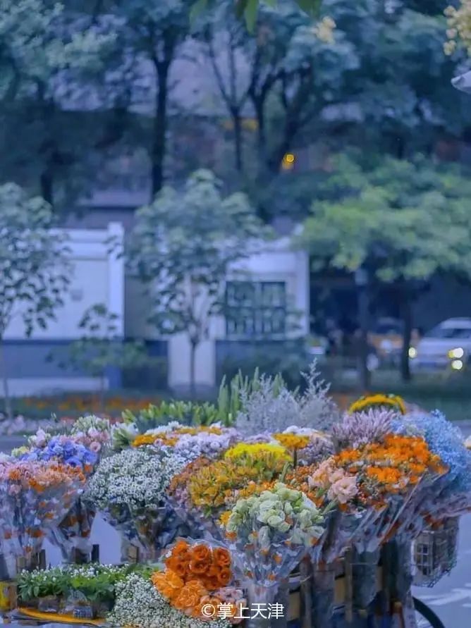 真羡慕住在大城市的人,真羡慕那些住高档小区的人