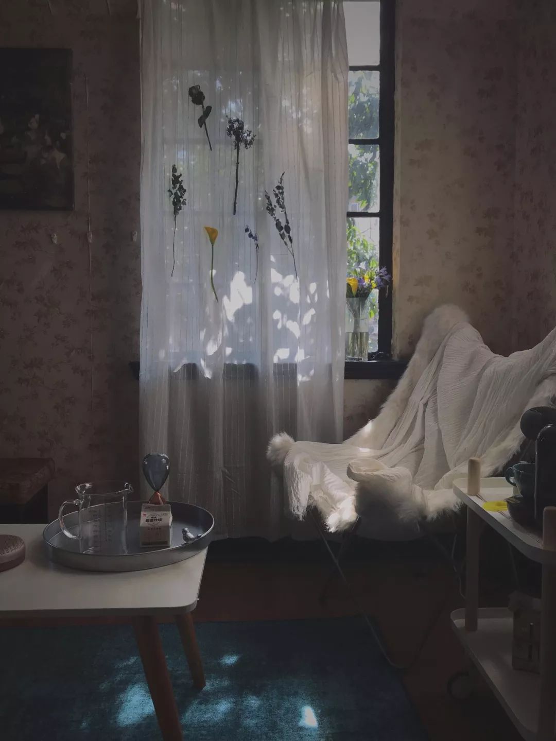 什么花最受女孩欢迎,女孩子中比较受欢迎的花