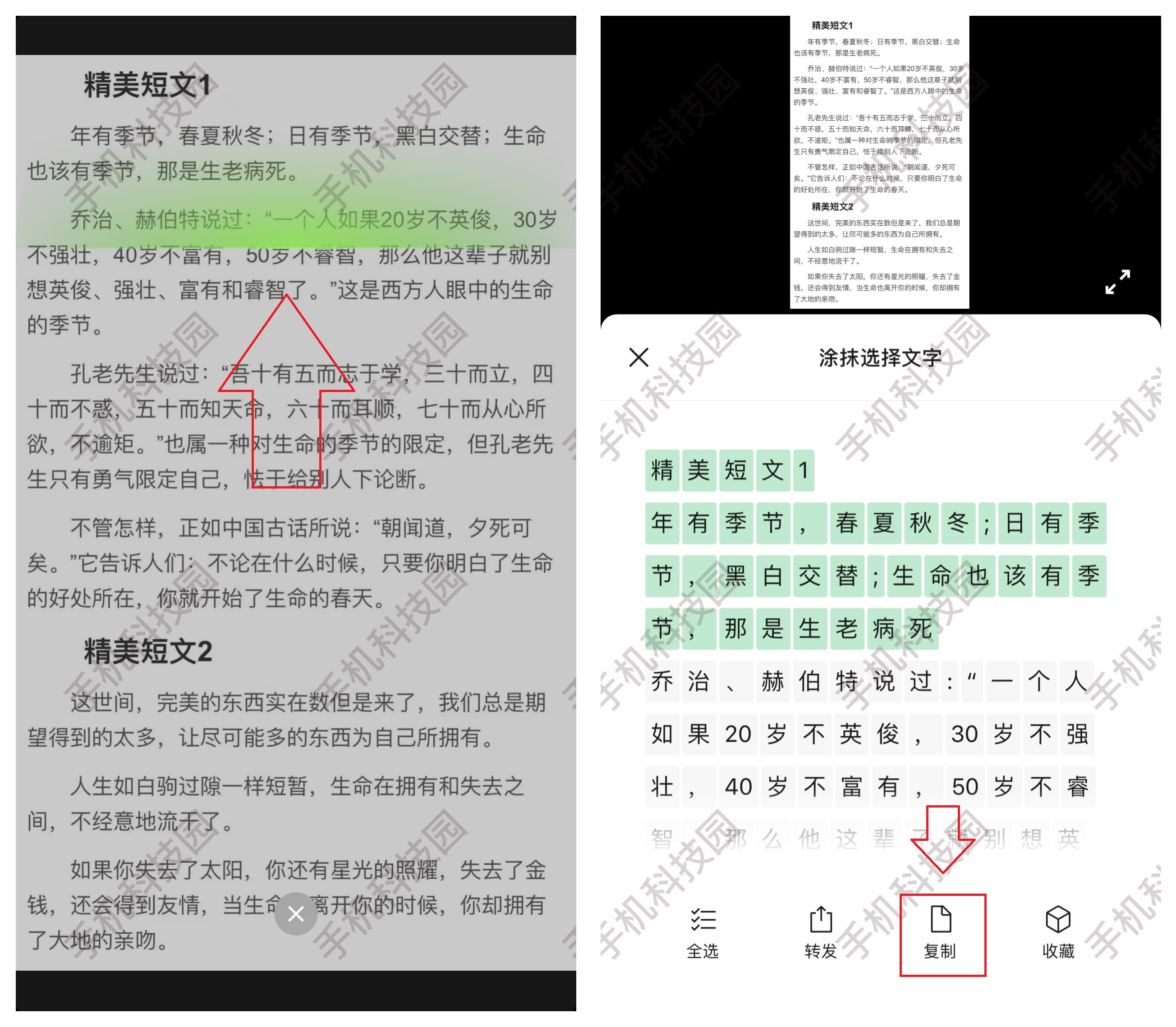 微信扫描仪功能在哪,手机微信自带的扫描功能