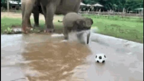 他们被杀之后，依然在爱你