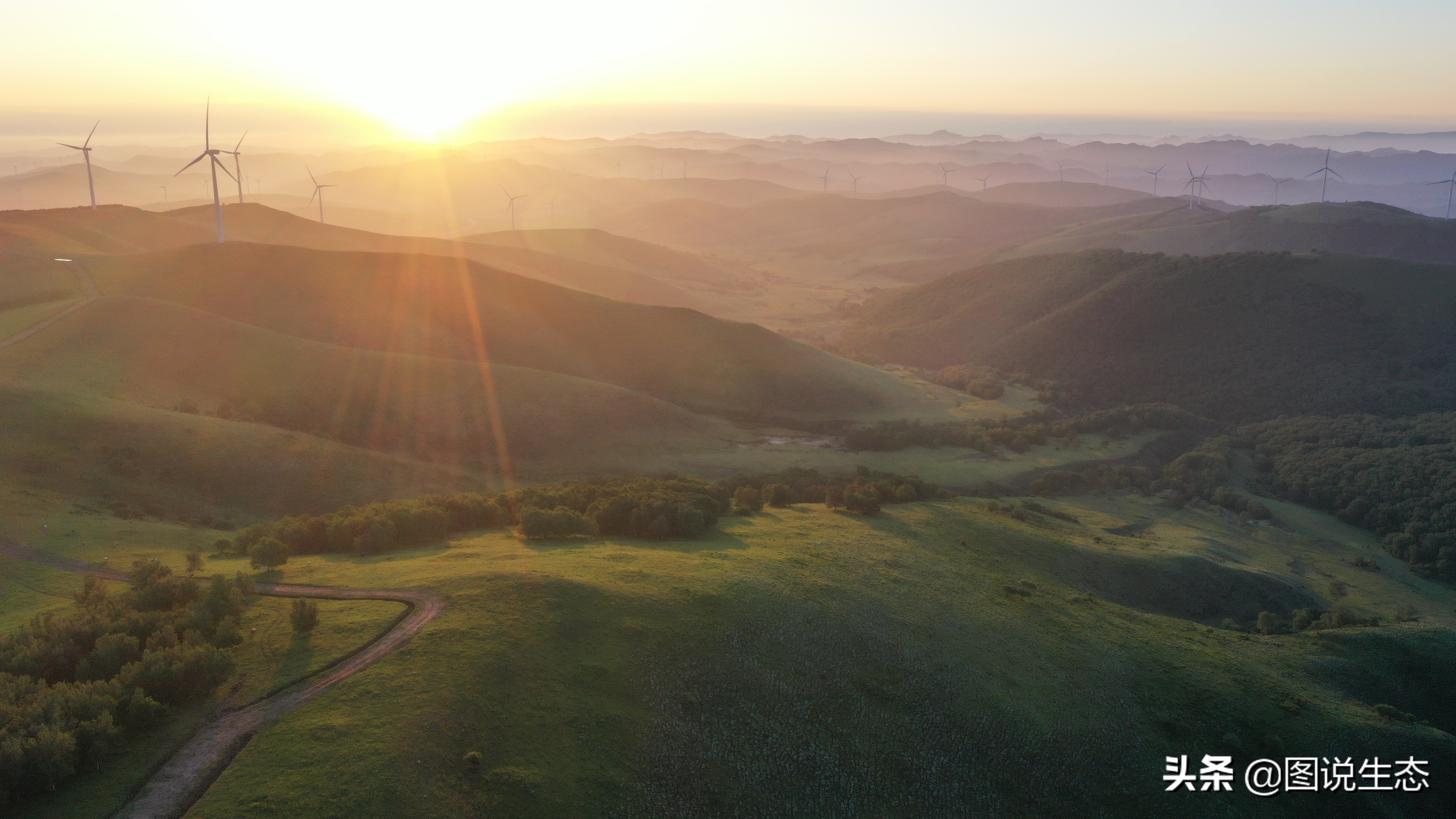 20年风雨治沙路，绿水青山秀丰宁