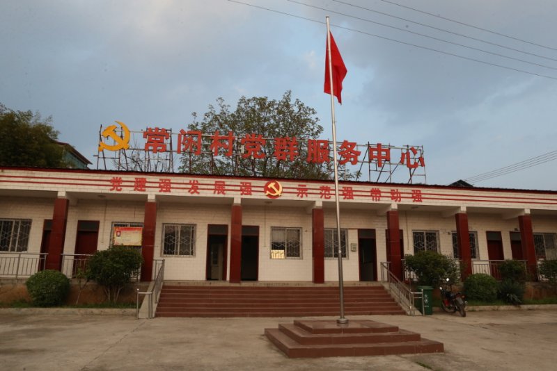 小蘑菇成为富民大产业,小平菇打造致富新名片