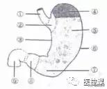 <html>
<head><title>502BadGateway</title></head>
<body>
<center><h1>502BadGateway</h1></center>
<hr><center>nginx</center>
</body>
</html>
<!--apaddingtodisableMSIEandChromefriendlyerrorpage-->
<!--apaddingtodisableMSIEandChromefriendlyerrorpage-->
<!--apaddingtodisableMSIEandChromefriendlyerrorpage-->
<!--apaddingtodisableMSIEandChromefriendlyerrorpage-->
<!--apaddingtodisableMSIEandChromefriendlyerrorpage-->
<!--apaddingtodisableMSIEandChromefriendlyerrorpage-->
