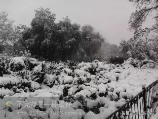 济南的冬天老舍,济南的冬天普通话朗读