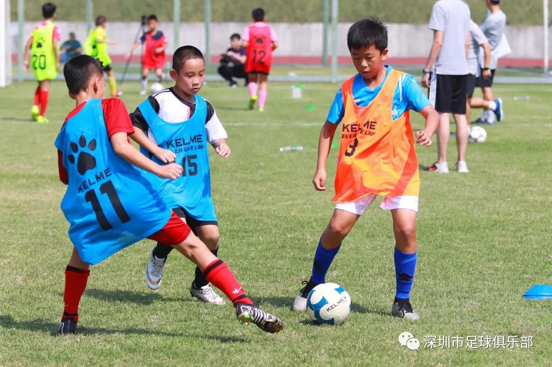 深足U11梯队选拔启动，全面考察客观评定透明公开