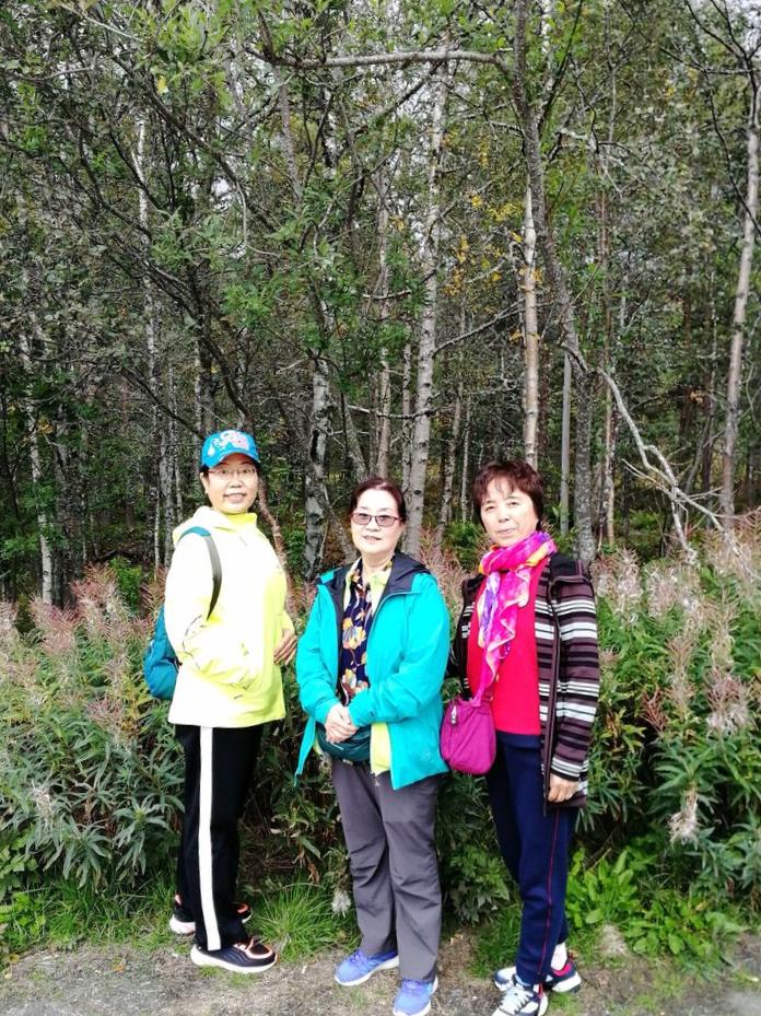 北欧半岛游记挪威,北欧四国之挪威风光