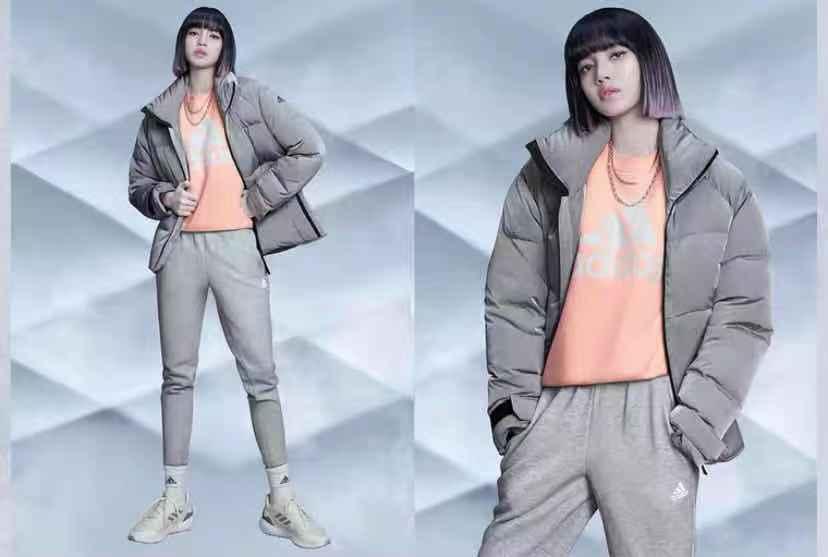 加拿大鹅好看的款,一万多的加拿大鹅羽绒服