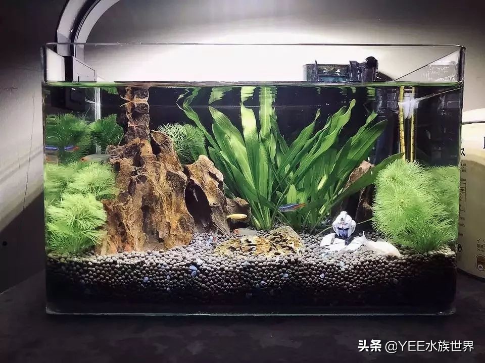 60草缸壁挂过滤推荐,草缸壁挂式过滤器