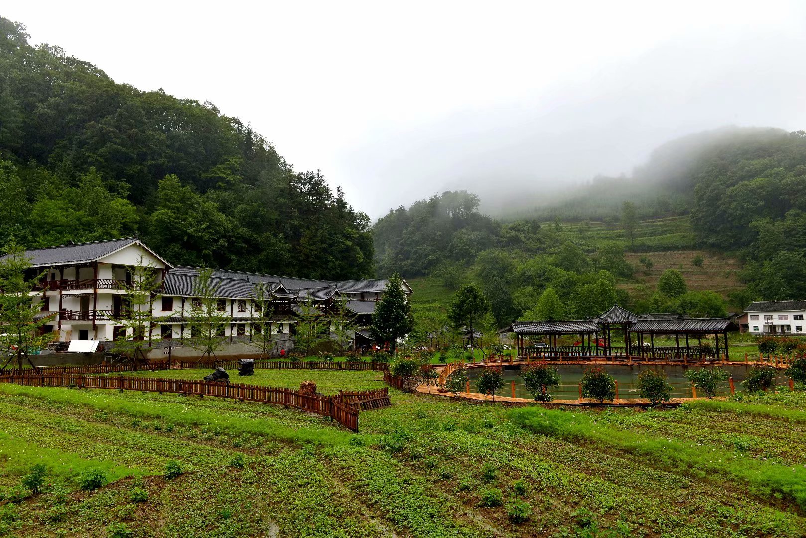 六月回忆童年,六月回忆母校