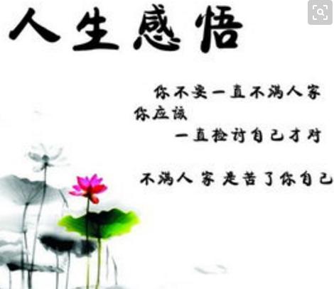 感悟人生的哲理句子10个字,佛说看透人生感悟人生的经典句子