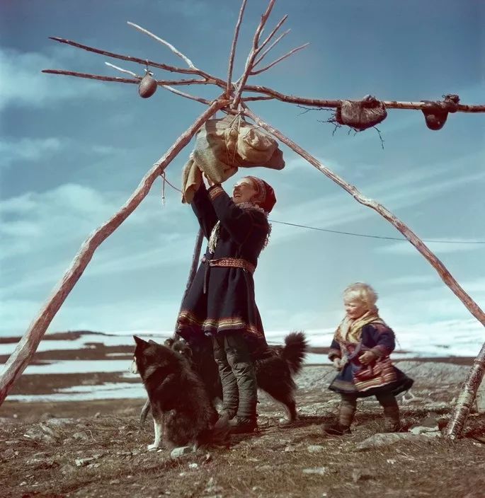 犬的记忆｜世界摄影经典