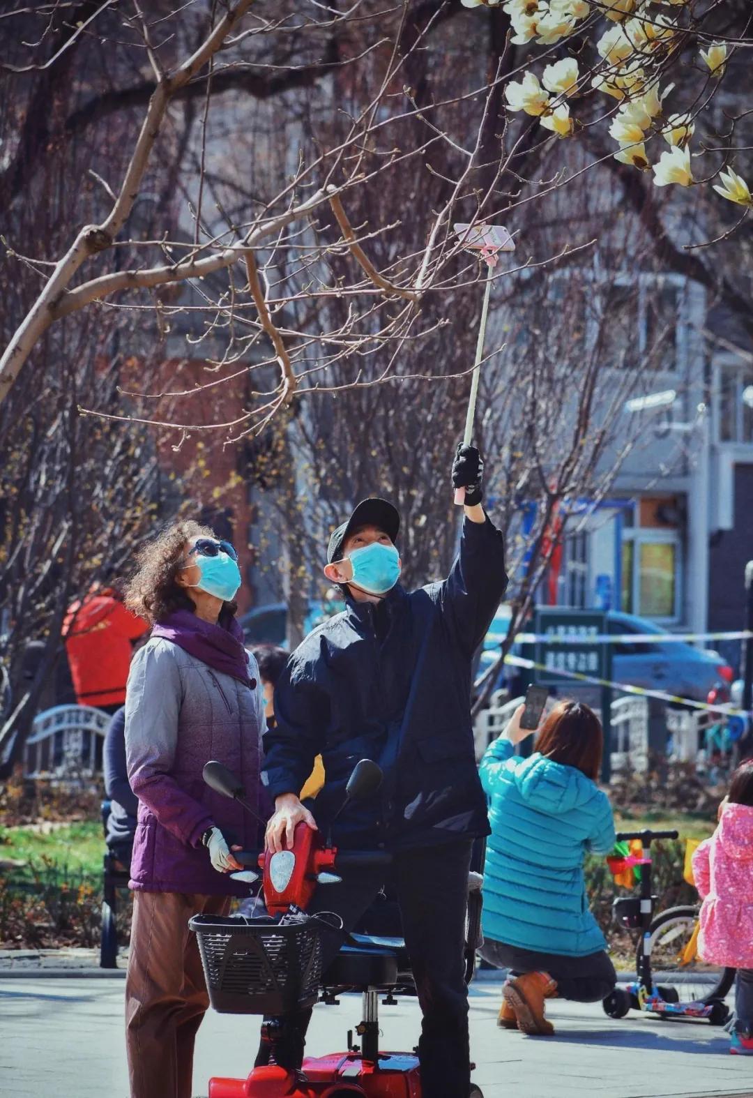 一个不出郑州的踏青好去处,天津春游公园推荐