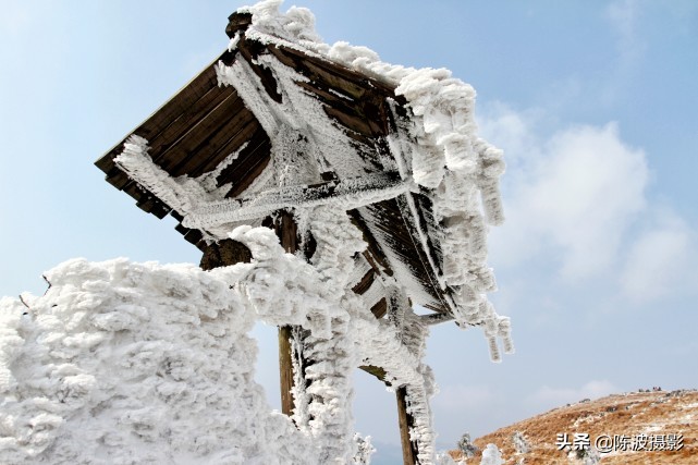 影像｜望作信：情缘“百里荒”13年，100多次拍摄