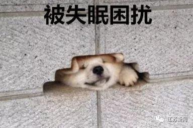 高速路防疲劳驾驶器,浙江高速上防疲劳神器