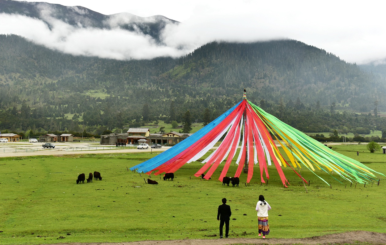 三月林芝必去景点,三月西藏林芝旅游攻略