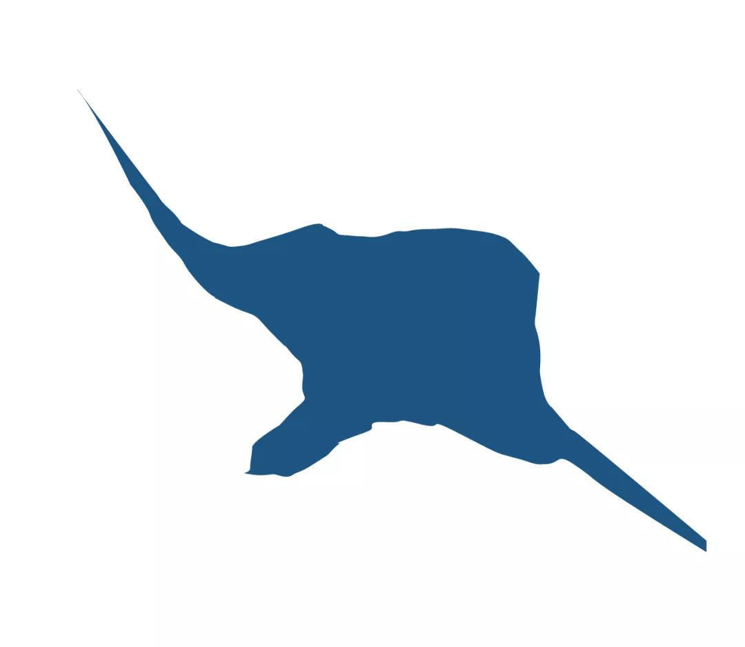 郑州湖景房,郑州湖景房是什么样的