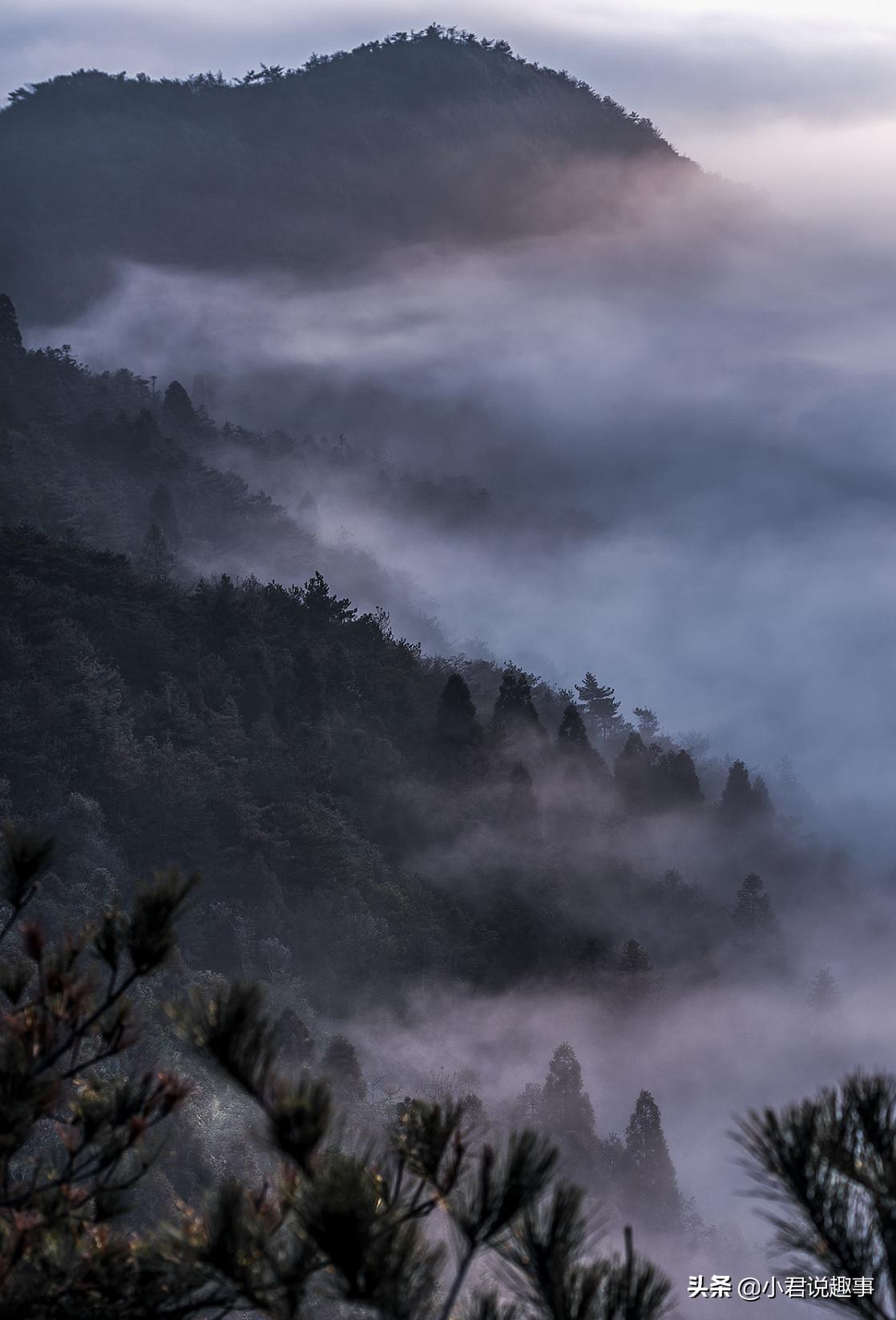 温州,除了钱和炒房团一无所有?进来认识不一样的温州