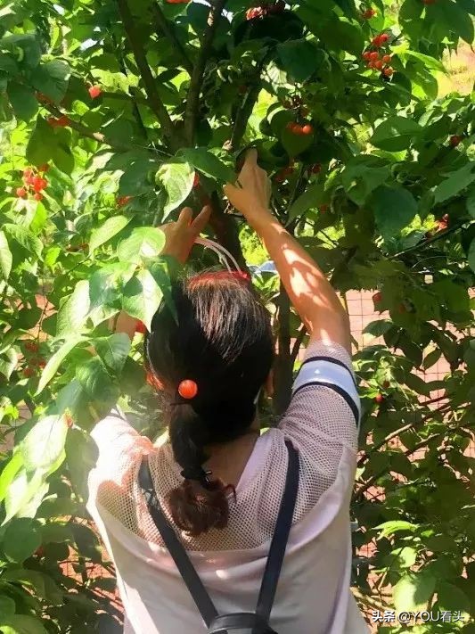 成都市恩桃儿,恩桃成都