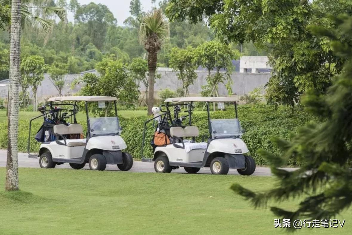 就连白鹭都中意的顶级度假村，不输巴厘岛的惠州候鸟，全家轻奢游