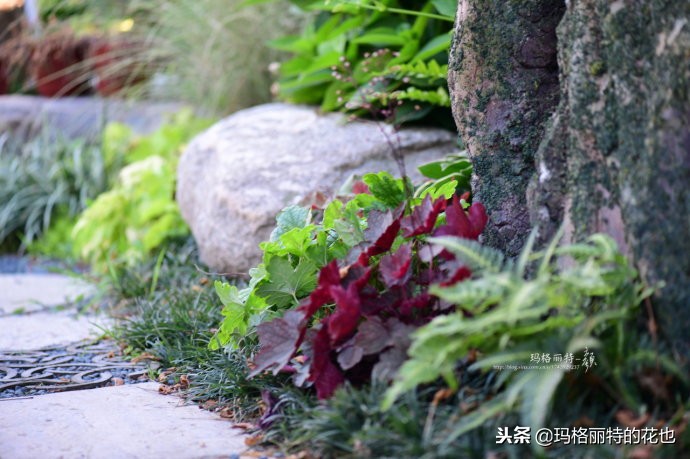 这座半山半水的土豪庭院，成了大多数男人的梦想｜花园拜访