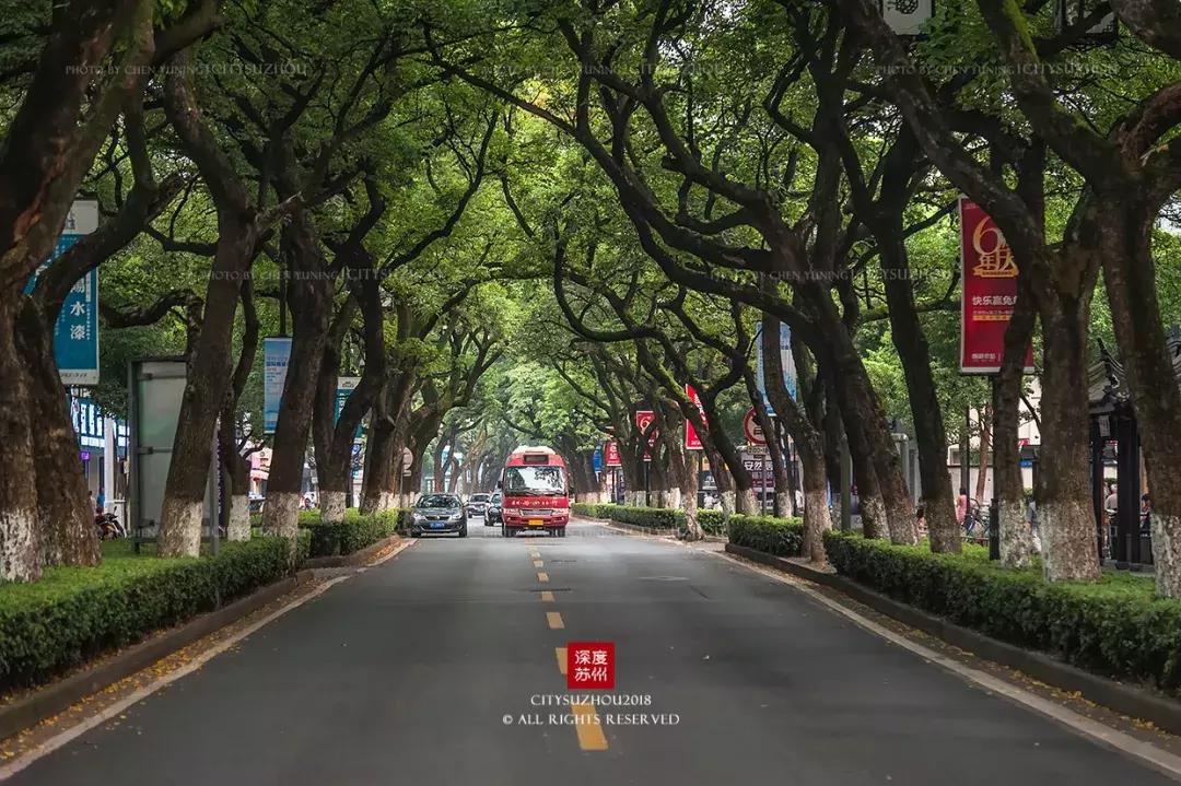 古城新区最新发展,古城未来5年发展