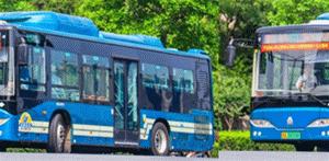 赏秋不远行就近赏秋景,赏秋何必去远方