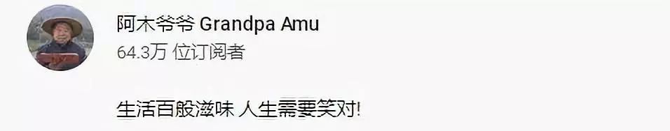 爷爷版李子柒视频评价,农村小伙子李子柒视频