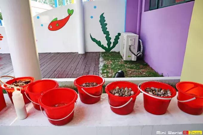 藏在日照的海边，竟然有一处世外桃源，赶海，捕鱼，温馨民宿……