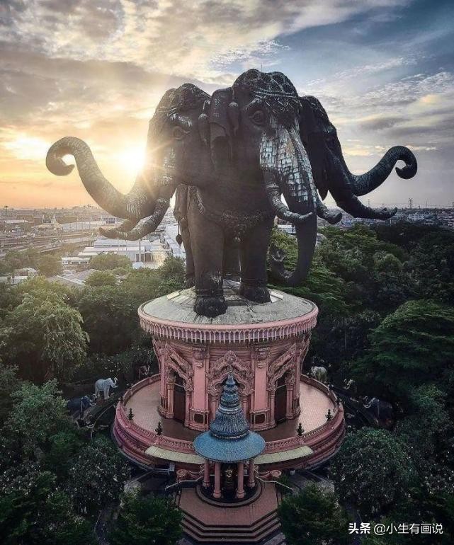 15张展示“巨物”的照片：只要活得足够久，一切都见怪不怪