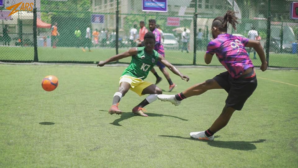 绿茵工程|2019F5WC美国、日本、印度、毛里求斯赛况