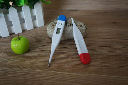 四个月的狗狗感冒,四个月的狗感染病