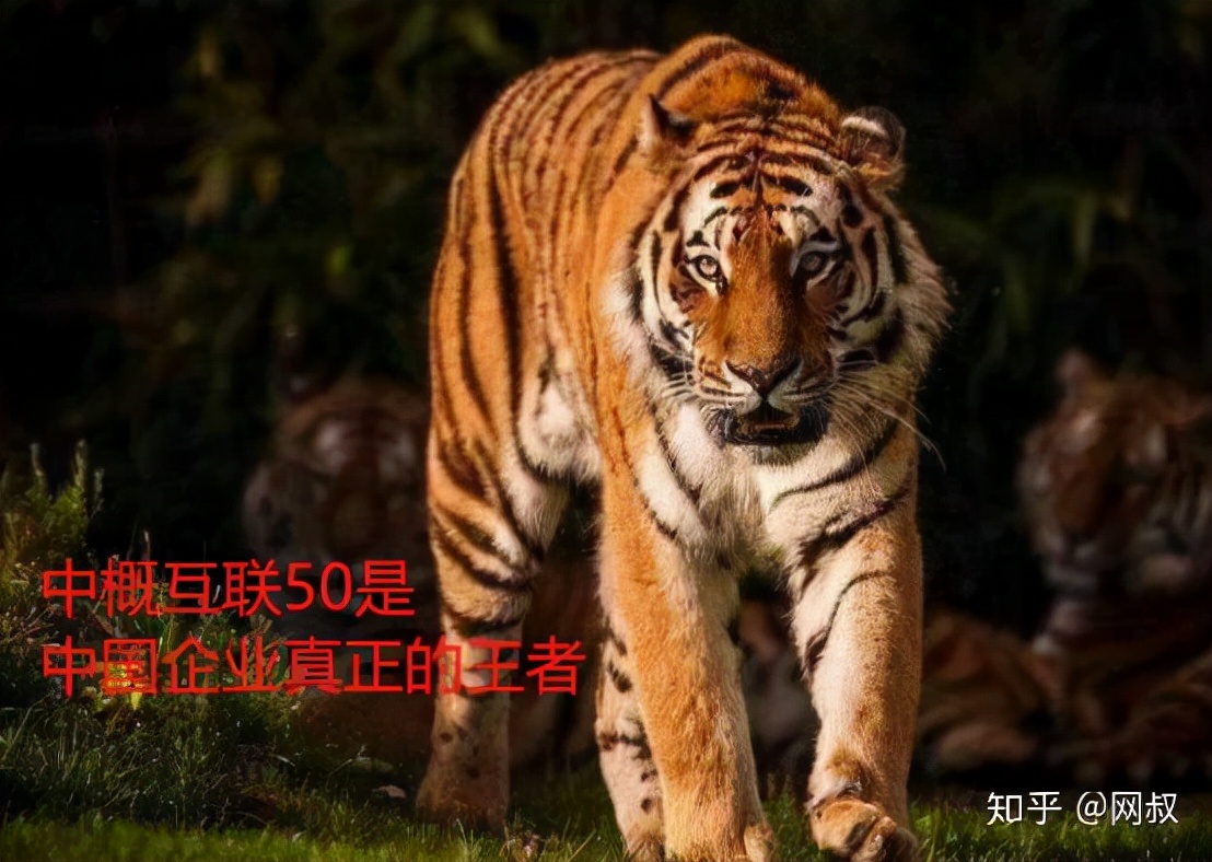 适合长期持有3-5只指数基金推荐,同业存单指数基金推荐