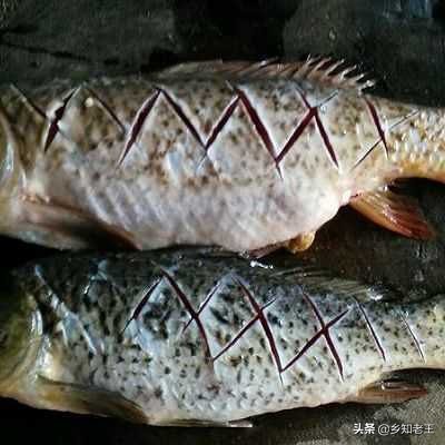 切鱼生薄片教学刀法,新手切猪肉后腿大骨头刀法入门