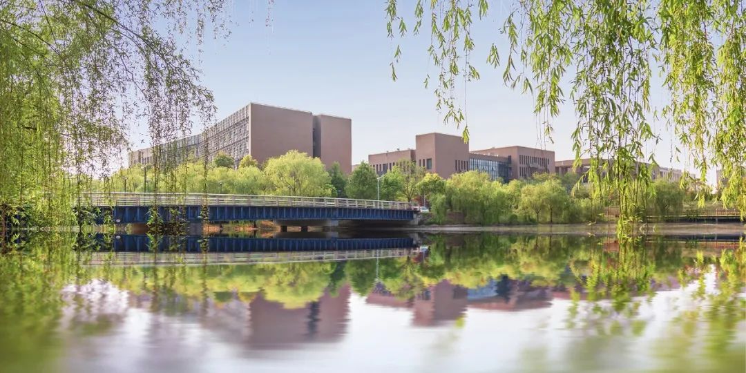 多所985大学落户河南,985高校分校建到其他地方