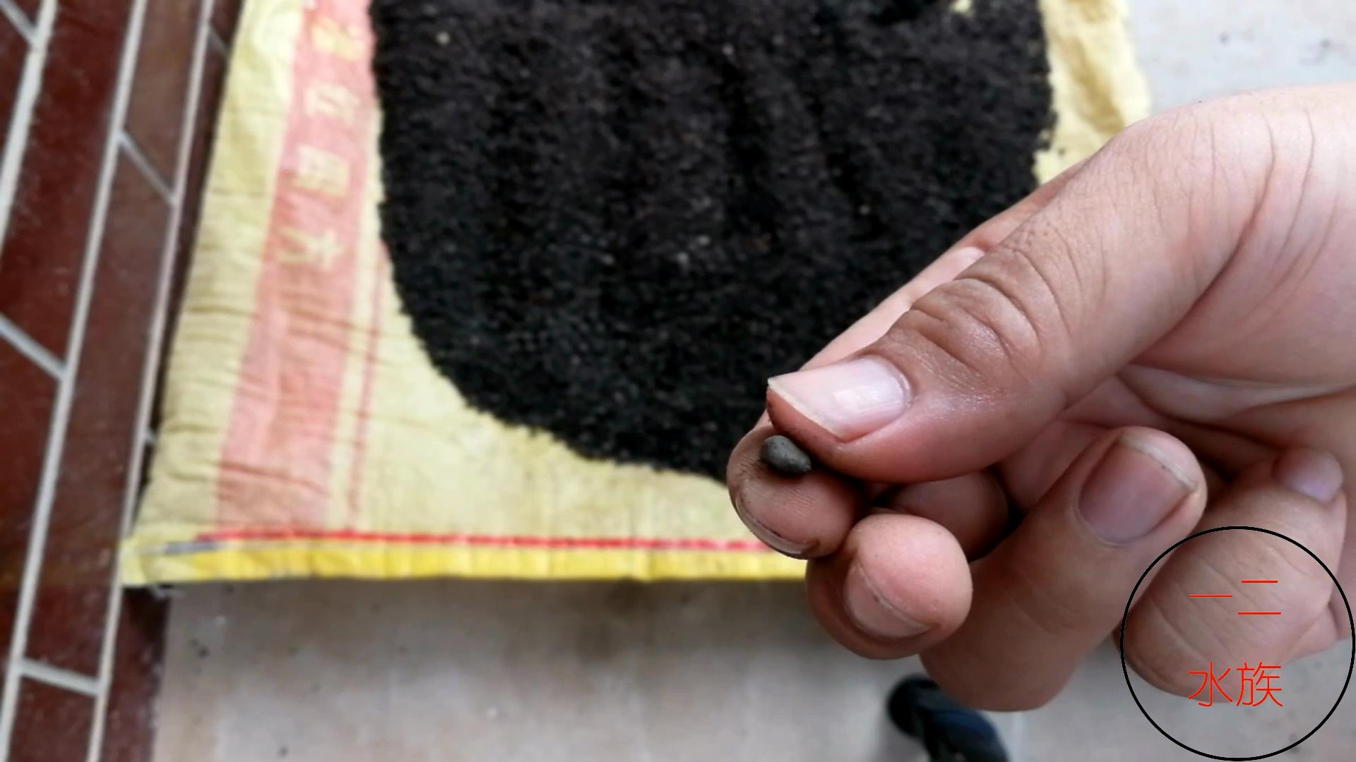 尼特利水草泥一年后能粉化吗,底砂过滤会加速水草泥粉化吗