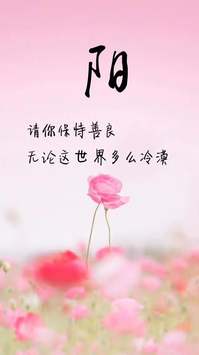 天然翡翠财字,翡翠字体图片欣赏