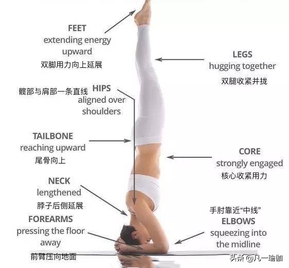 一篇文章两项内容，27张瑜伽细节图加练习注意事项，分享给大家