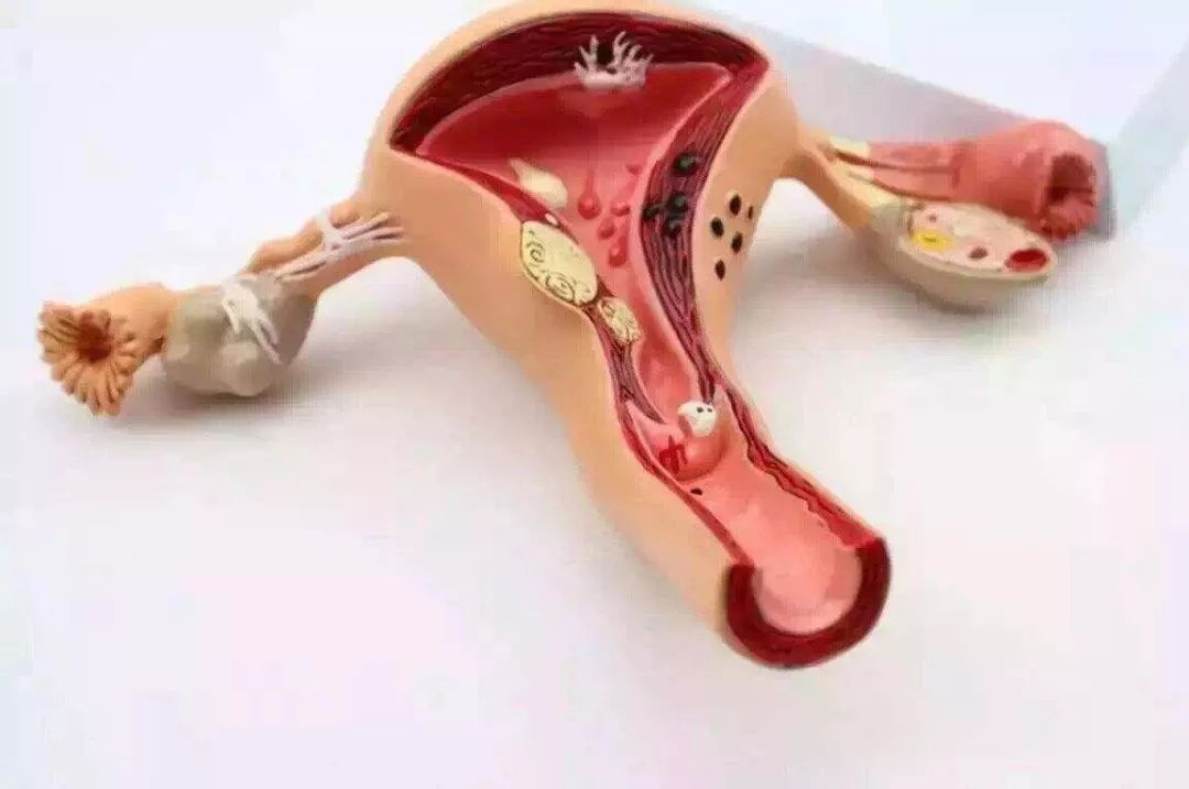 想要个宝宝怎么就那么难呢,想要一个宝宝为什么这么难